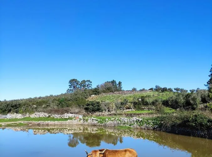 Chalet O Refugio Buracas